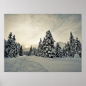 Wintermagie Poster (Vorne)