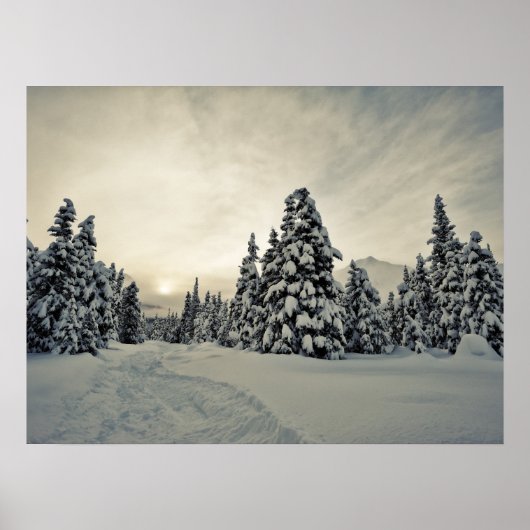 Wintermagie Poster (Vorne)