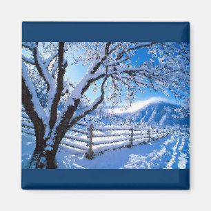 Wintermagnet Magnet