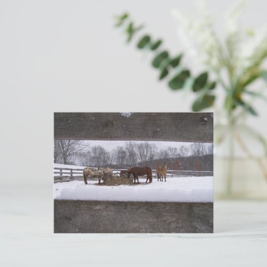 Wintermahlzeit Postkarte (Stehend Vorderseite)