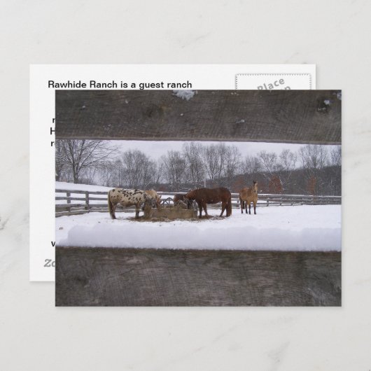 Wintermahlzeit Postkarte (Vorne/Hinten)