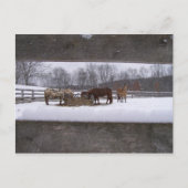 Wintermahlzeit Postkarte (Vorderseite)