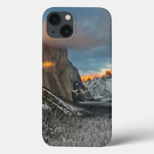 Wintermarke Case-Mate iPhone Hülle (Rückseite)