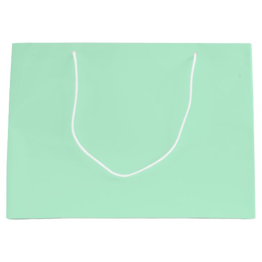 Winterminze, solide Farbe Große Geschenktüte (Vorderseite)