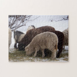 Wintermittag für Schafe Puzzle