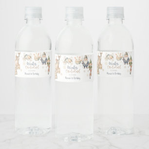 Wintermondländer Glitzer wunderbarer Geburtstag Wasserflaschenetikett