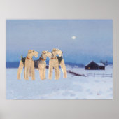 Wintermondlicht Poster (Vorne)