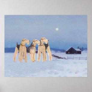 Wintermondlicht Poster