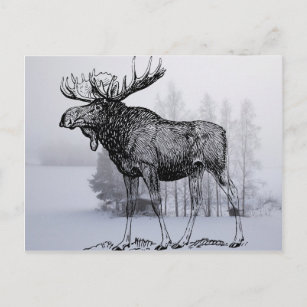 Postkarte Winternacht Santa Tomte im Geweih vom Elch unterwegs Schweden ungel.