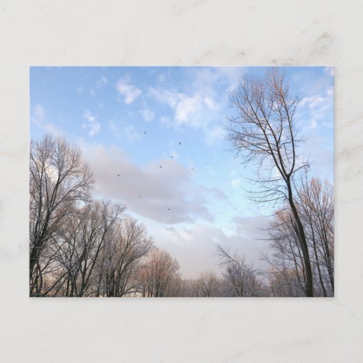 Wintermorgen I Postkarte (Vorderseite)