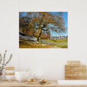 Wintermorgen Poster (Küche)