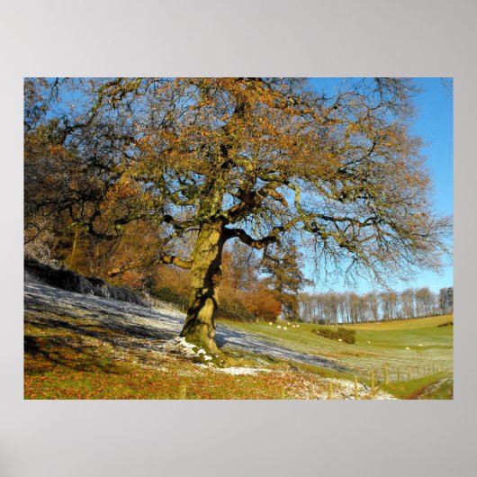 Wintermorgen Poster (Vorne)