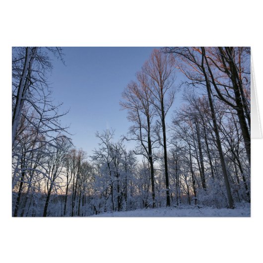 Wintermorgendlicht I (Vorderseite (Horizontal))