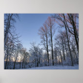 Wintermorgendlicht I Poster (Vorne)