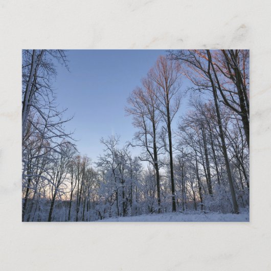 Wintermorgendlicht I Postkarte (Vorderseite)