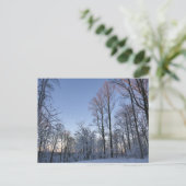 Wintermorgendlicht I Postkarte (Stehend Vorderseite)