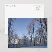 Wintermorgendlicht I Postkarte (Vorne/Hinten)
