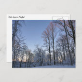 Wintermorgendlicht I Postkarte (Vorne/Hinten)