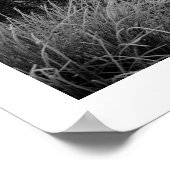 Wintermorgens: Strandshag Bay, Derwentwater Post Poster (Ecke)