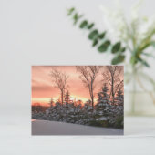 Wintermorgensonnenaufgang Postkarte (Stehend Vorderseite)