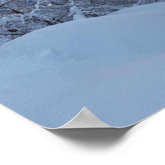 Winternachtposter Poster (Ecke)