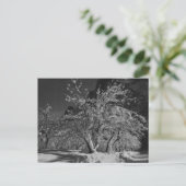 Winternachtszeit Postkarte (Stehend Vorderseite)