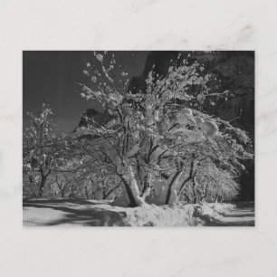 Winternachtszeit Postkarte