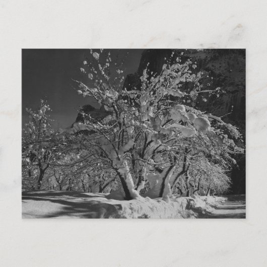 Winternachtszeit Postkarte (Vorderseite)