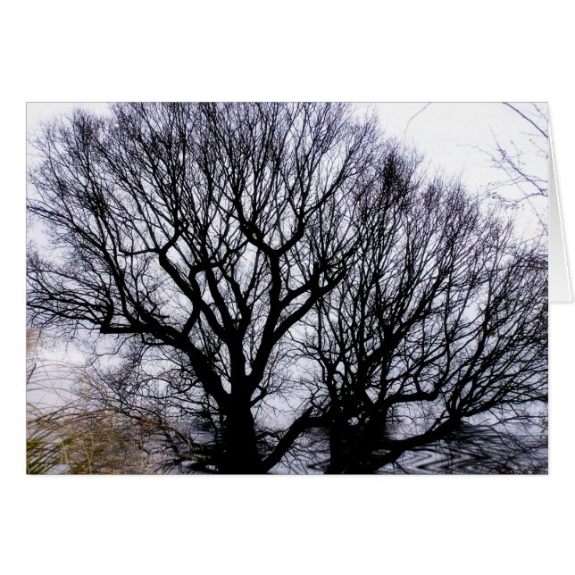 Winternatur-Karte (Vorderseite (Horizontal))