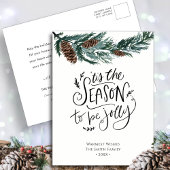 Winternatur| Kiefernkiefer Weihnachten