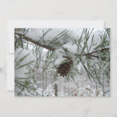 Winternaturfotografie von Snowy Pine Branch (Vorderseite)
