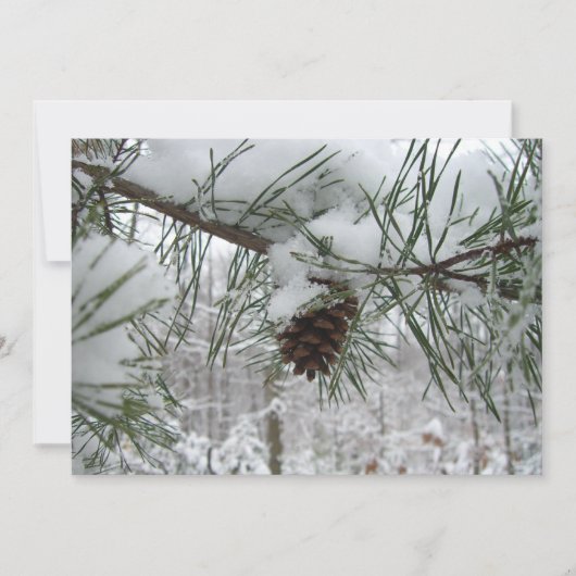 Winternaturfotografie von Snowy Pine Branch (Vorderseite)