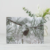 Winternaturfotografie von Snowy Pine Branch (Stehend Vorderseite)