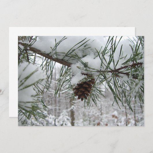 Winternaturfotografie von Snowy Pine Branch (Vorne/Hinten)