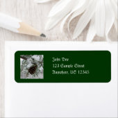 Winternaturfotografie von Snowy Pine Branch (Insitu)