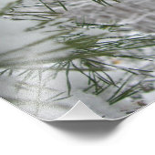 Winternaturfotografie von Snowy Pine Branch Fotodruck (Ecke)