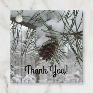 Winternaturfotografie von Snowy Pine Branch Geschenkanhänger