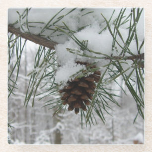 Winternaturfotografie von Snowy Pine Branch Glasuntersetzer
