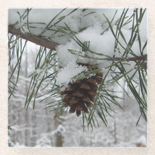 Winternaturfotografie von Snowy Pine Branch Glasuntersetzer (Vorderseite)