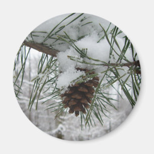 Winternaturfotografie von Snowy Pine Branch Magnet