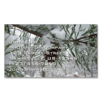 Winternaturfotografie von Snowy Pine Branch