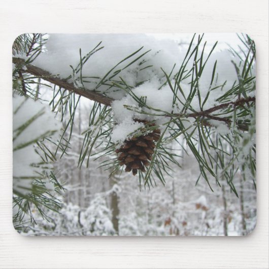 Winternaturfotografie von Snowy Pine Branch Mousepad (Vorne)
