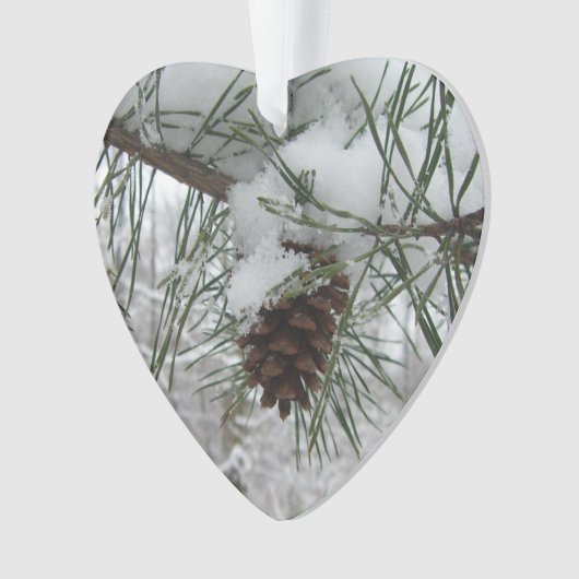 Winternaturfotografie von Snowy Pine Branch Ornament (Vorderseite)
