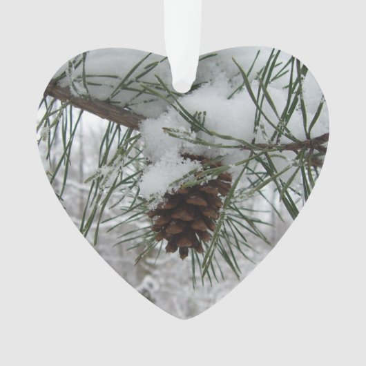 Winternaturfotografie von Snowy Pine Branch Ornament (Vorderseite)