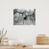 Winternaturfotografie von Snowy Pine Branch Poster (Küche)