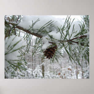 Winternaturfotografie von Snowy Pine Branch Poster