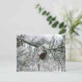 Winternaturfotografie von Snowy Pine Branch Postkarte (Stehend Vorderseite)