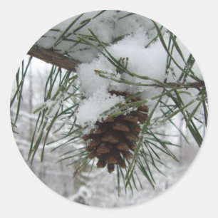 Winternaturfotografie von Snowy Pine Branch Runder Aufkleber