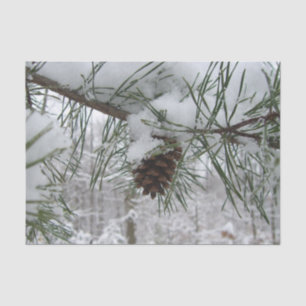 Winternaturfotografie von Snowy Pine Branch Seidenpapier