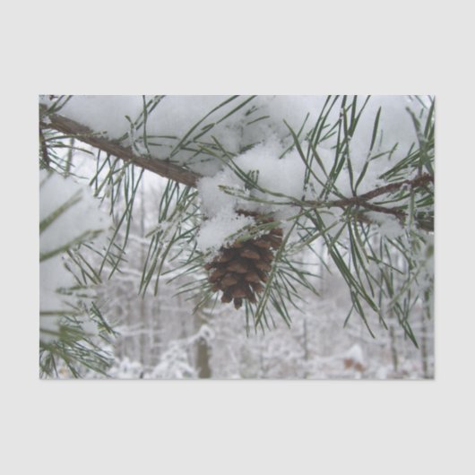 Winternaturfotografie von Snowy Pine Branch Seidenpapier (Vorderseite)